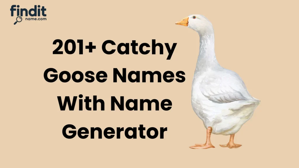 Catchy Goose Names