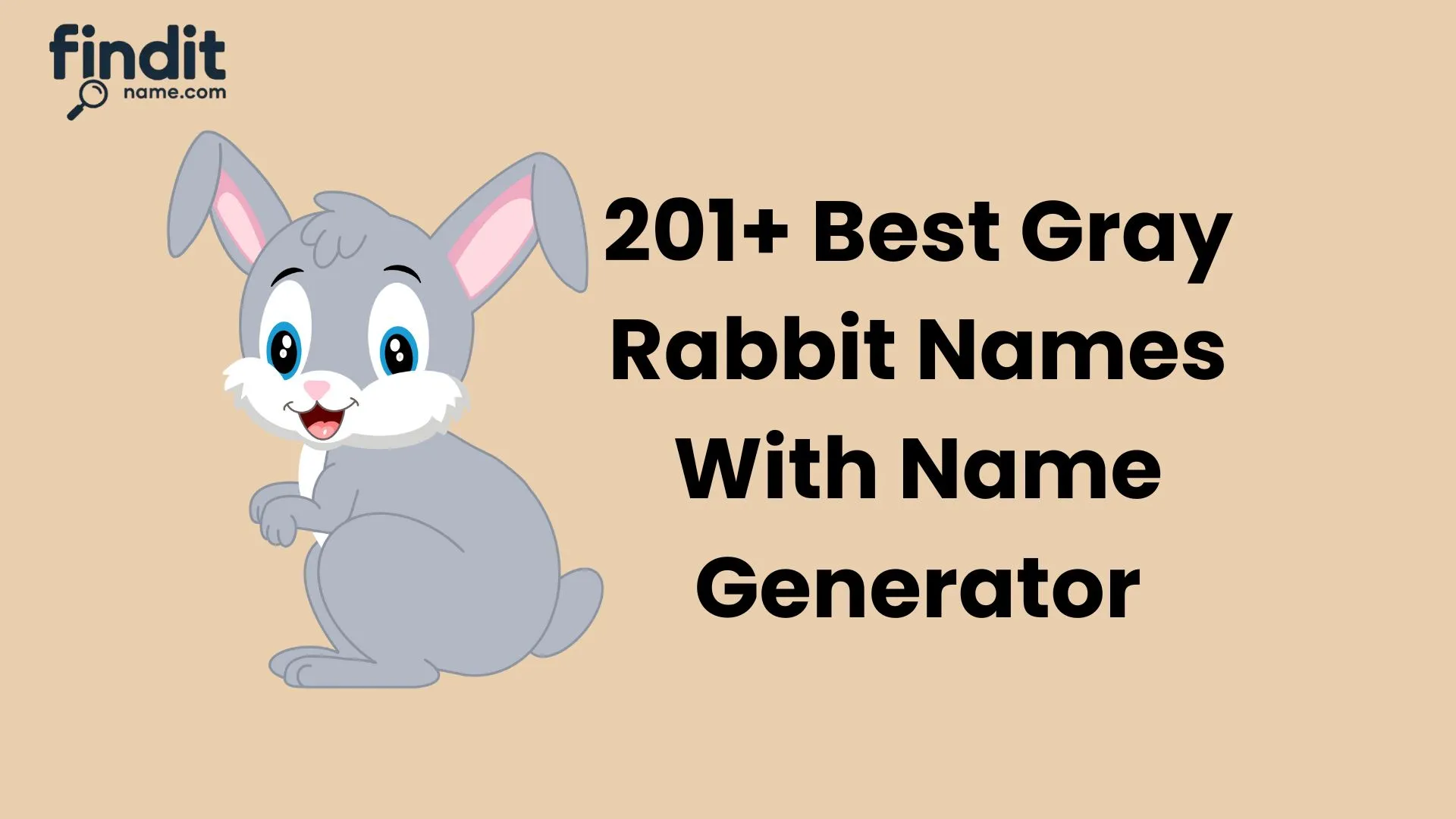 Best Gray Rabbit Names