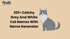 Grey And White Cat Names