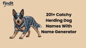 Herding Dog Names