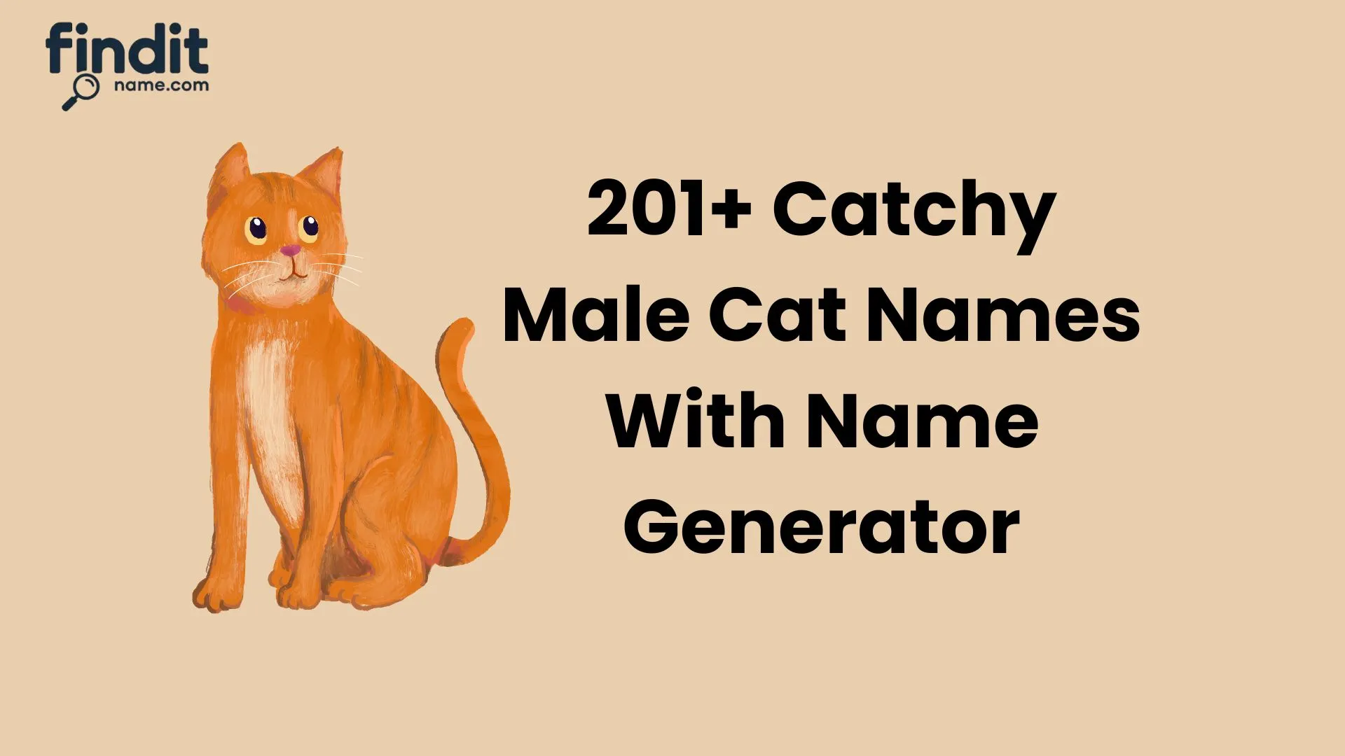 Catchy Male Cat Names