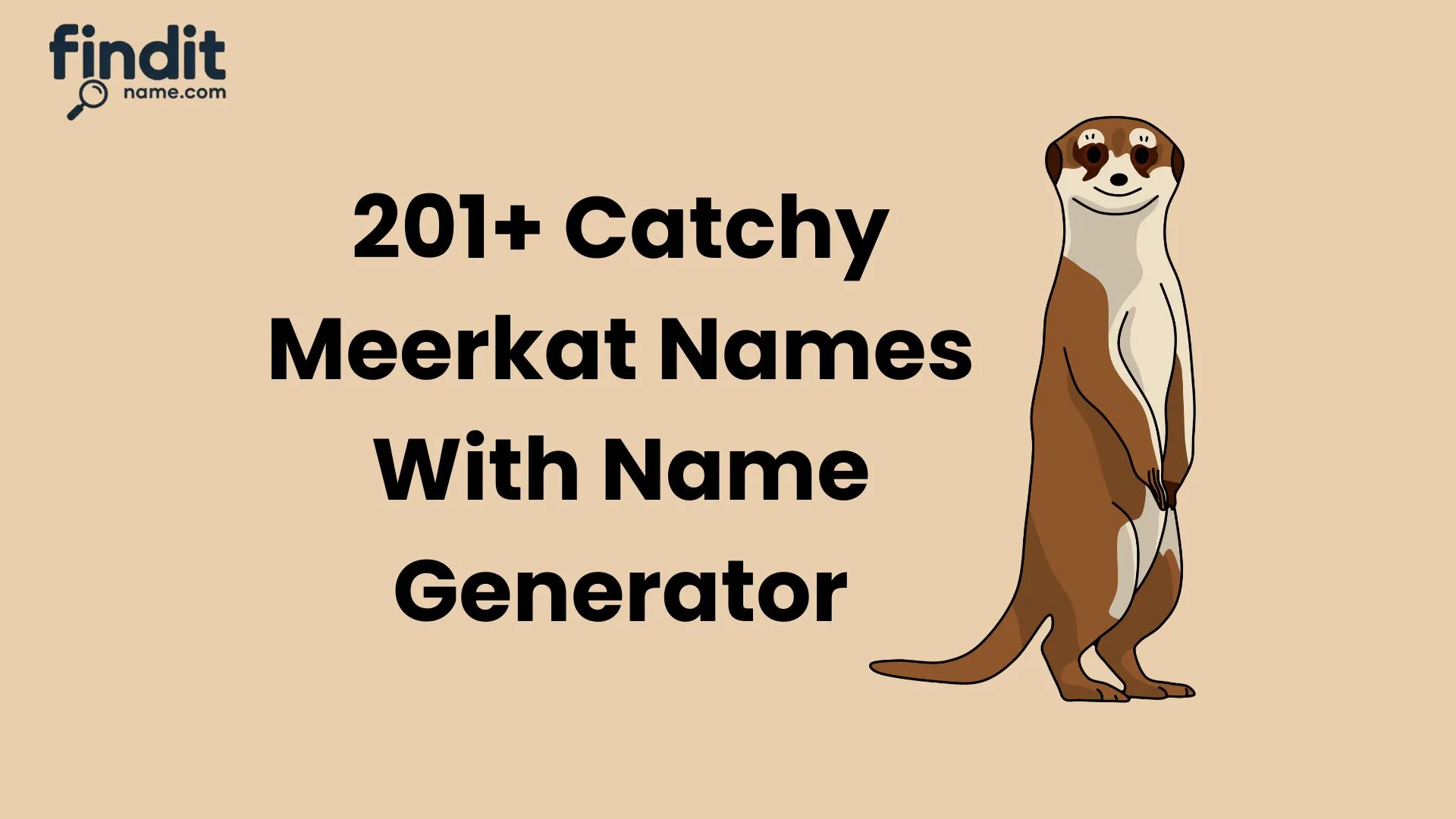 Cool and Catchy Meerkat Names