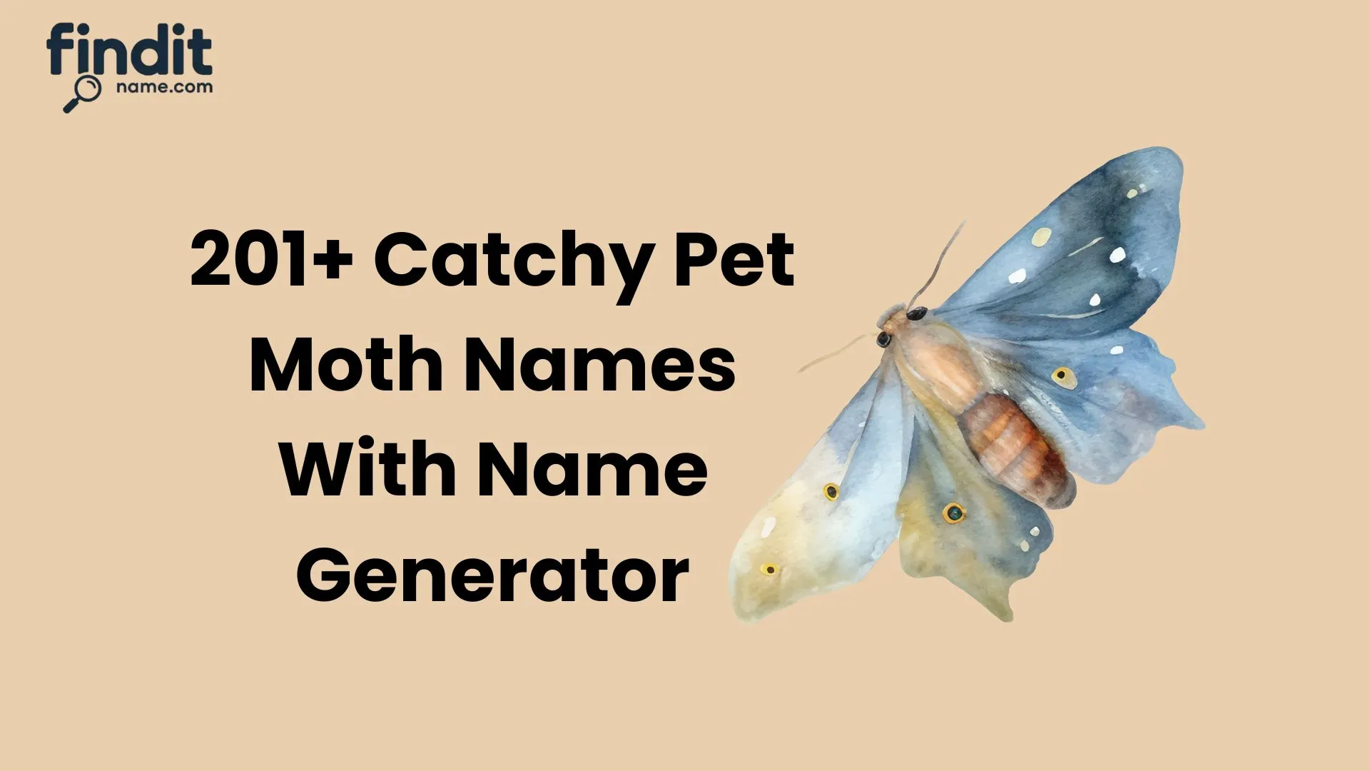 Pet Moth Names