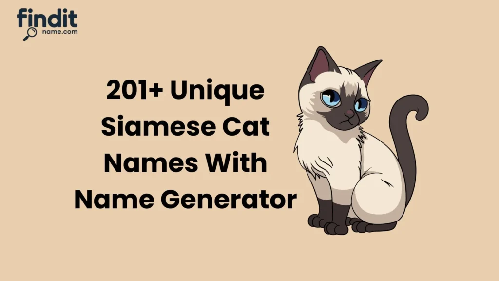 Unique Siamese Cat Names With Name Generator