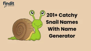 Cute And Catchy Snail Names With Name Generator