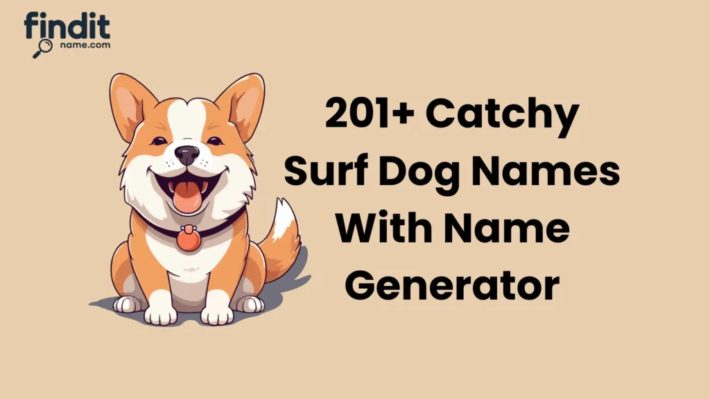 Cute And Catchy Surf Dog Names With Name Generator