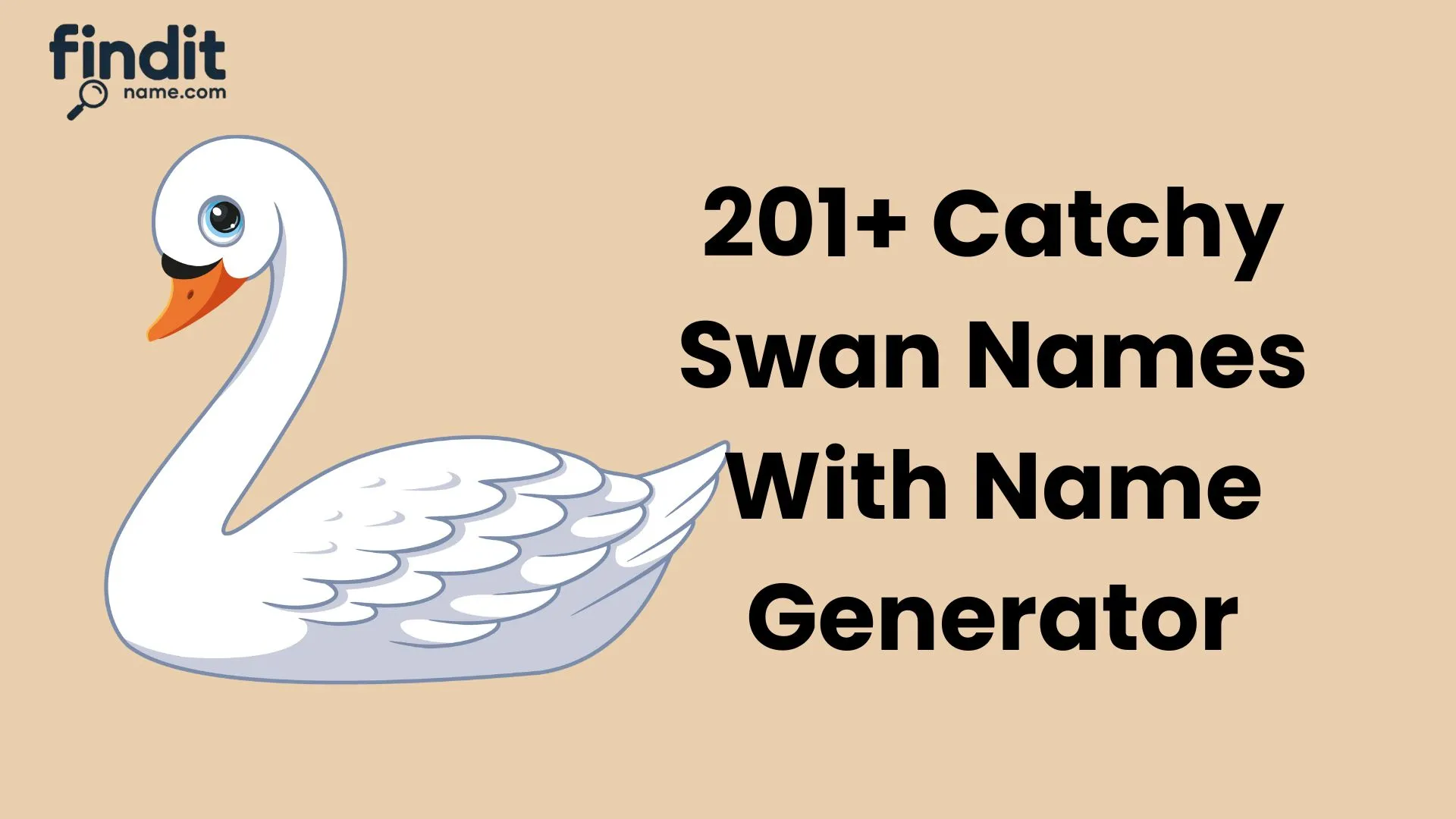 Catchy Swan Names