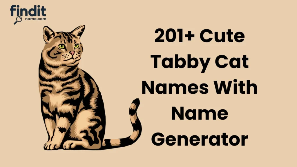 Cute Tabby Cat Names