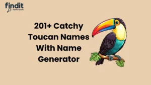 Cute And Catchy Toucan Names With Name Generator