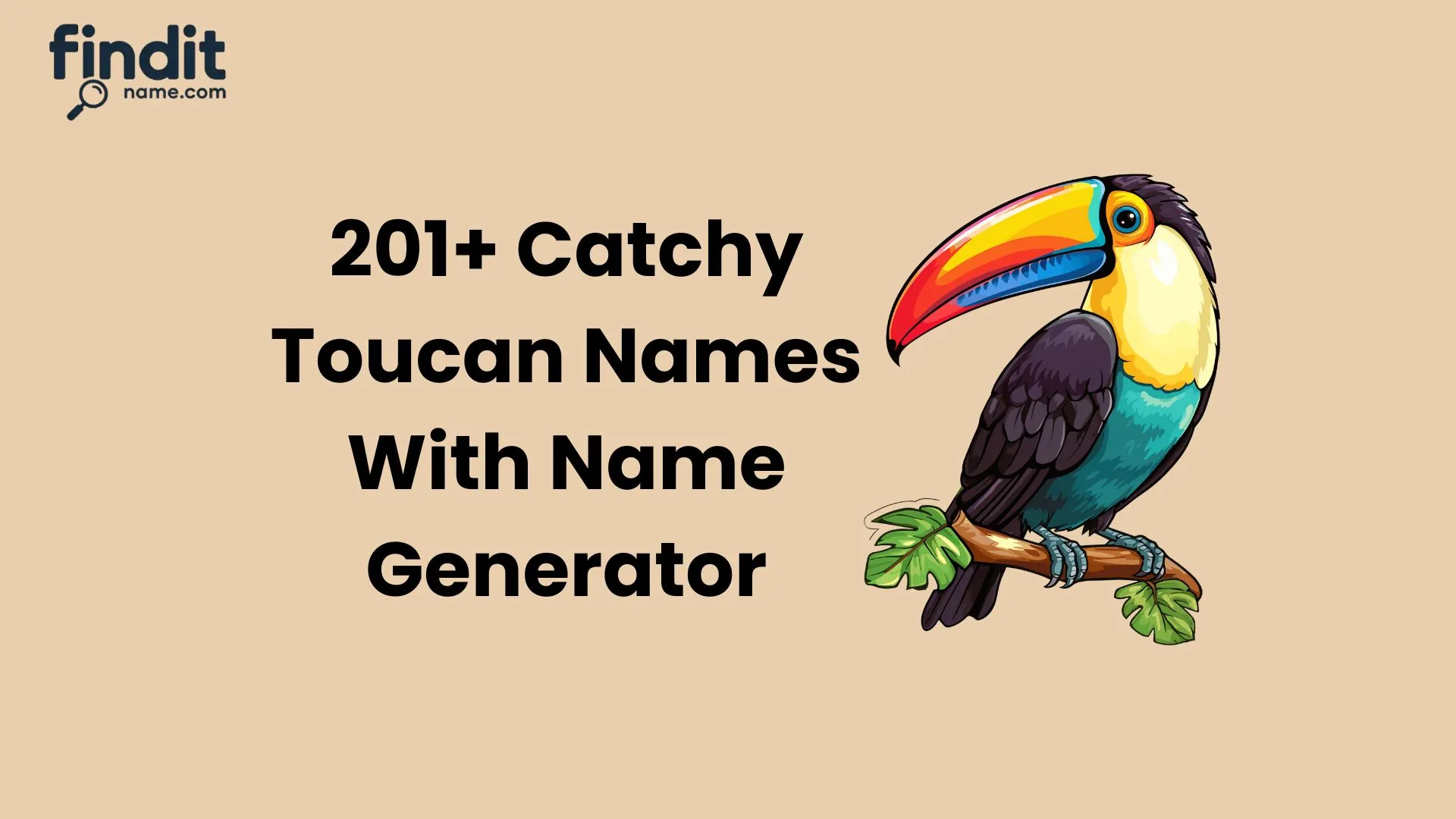 Cute And Catchy Toucan Names With Name Generator