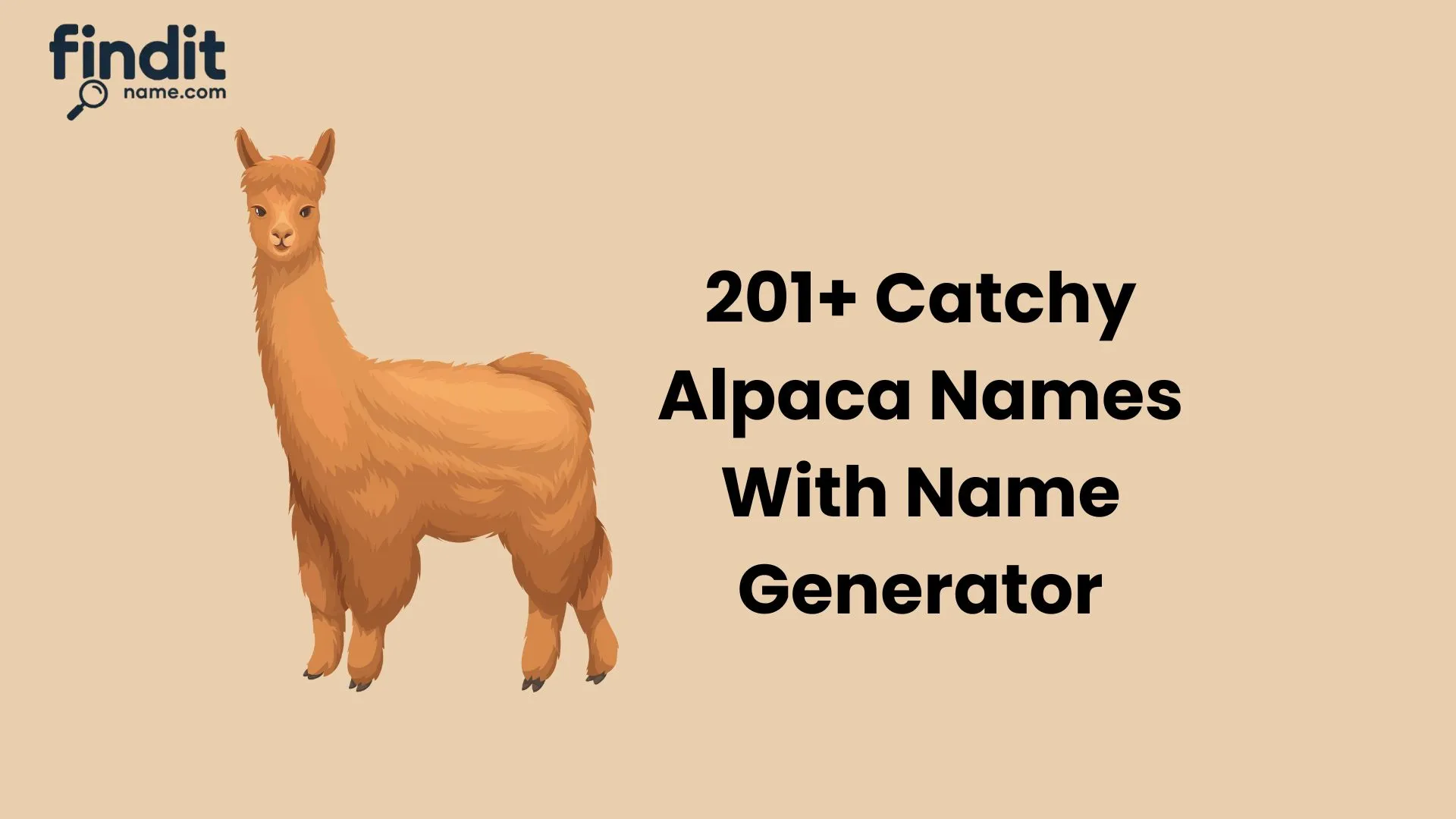 Alpaca Names
