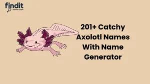 Axolotl Names