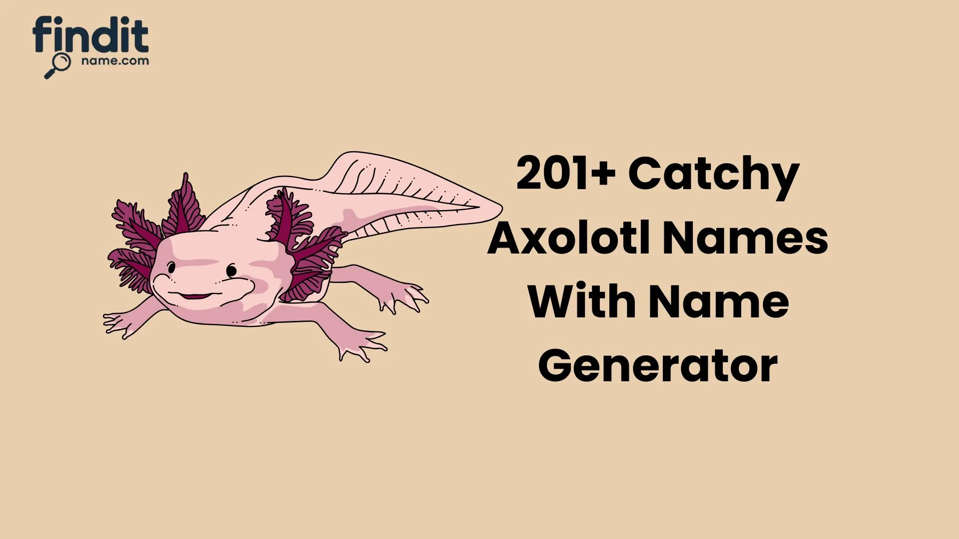 Axolotl Names