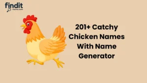 Catchy Chicken Names With Names Generator