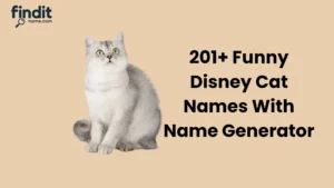 Best Disney Cat Names