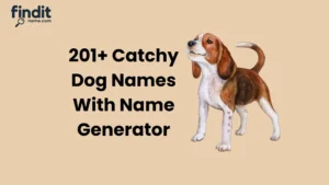 Dog Names That Mean Love