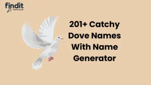 Cute And Catchy Dove Names With Name Generator