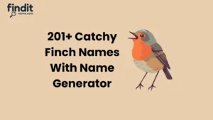 Catchy Finch Names