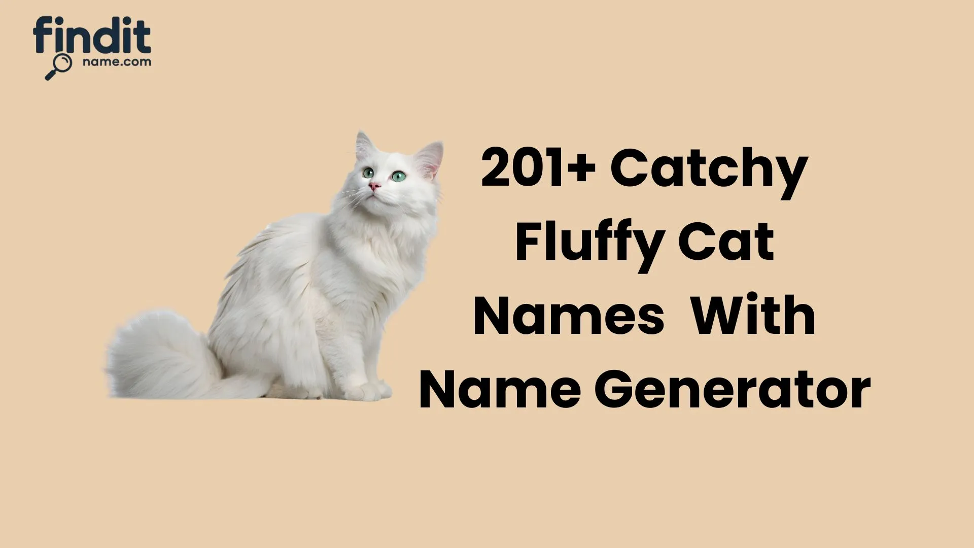 Fluffy Cat Names