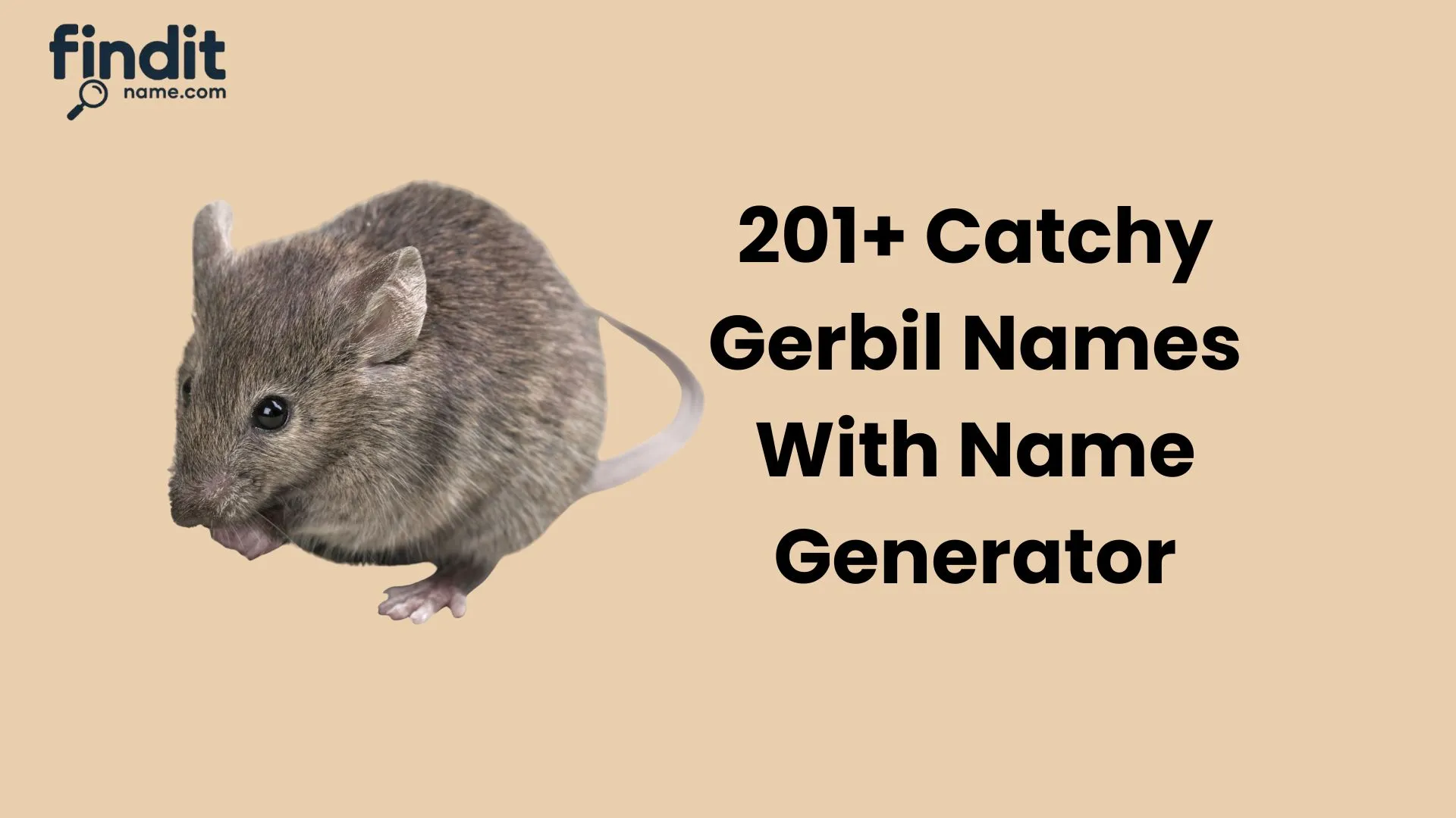 Catchy Gerbil Names