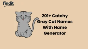 Gray Cat Names