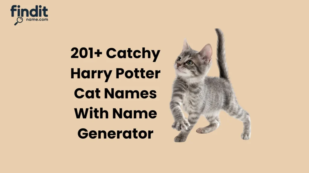 Harry Potter Cat Names