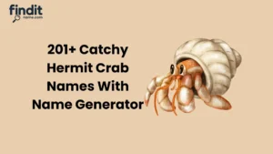 Hermit Crab Names