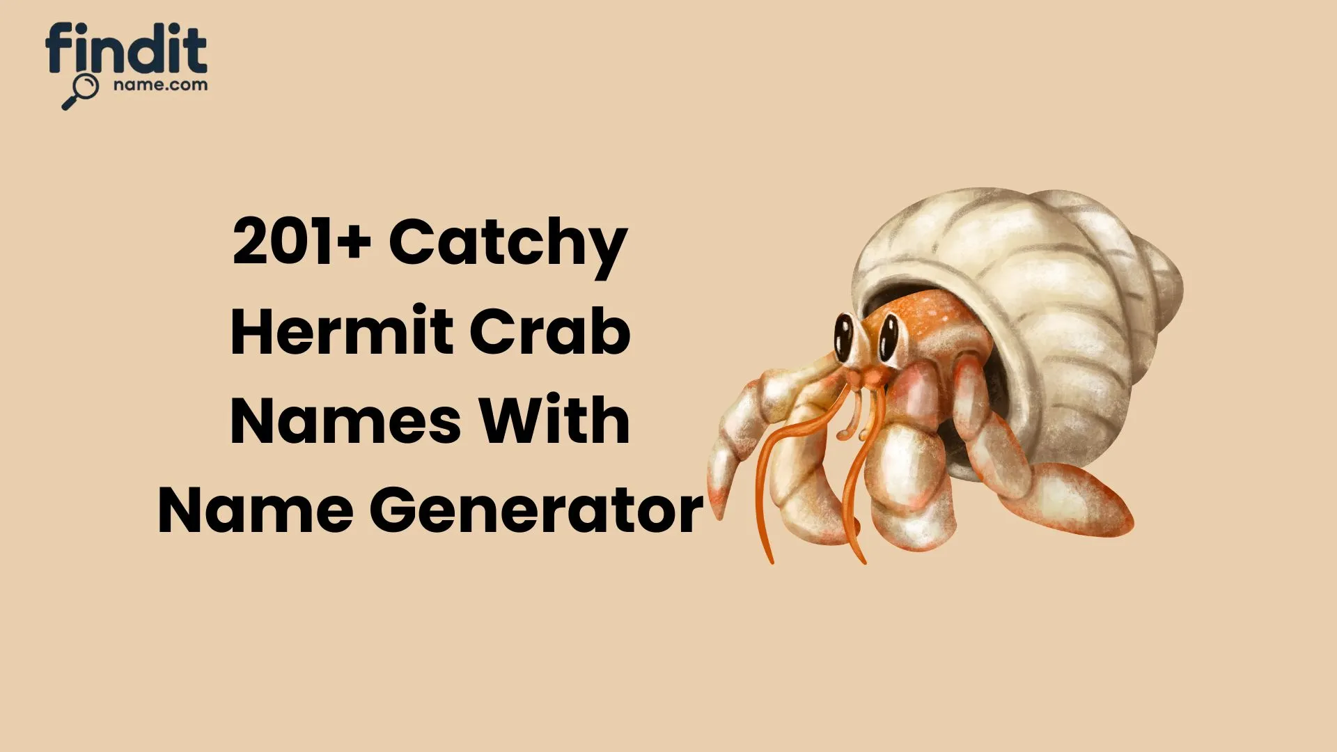 Hermit Crab Names