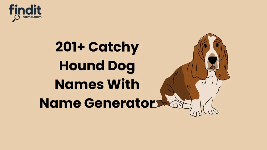 Hound Dog Names