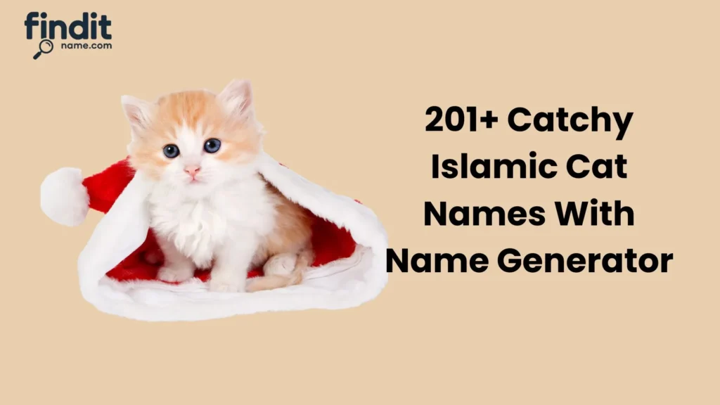 Islamic Cat Names