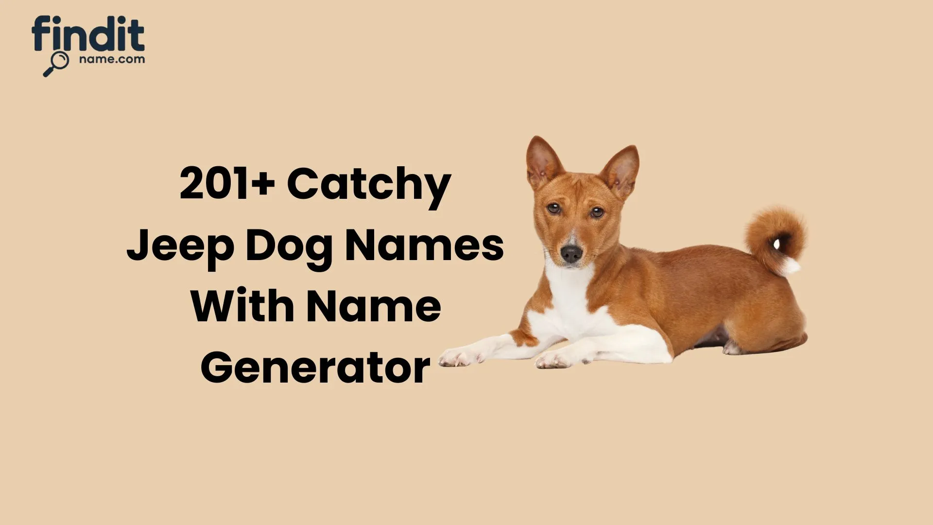Jeep Dog Names