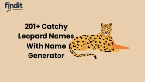 Leopard Names