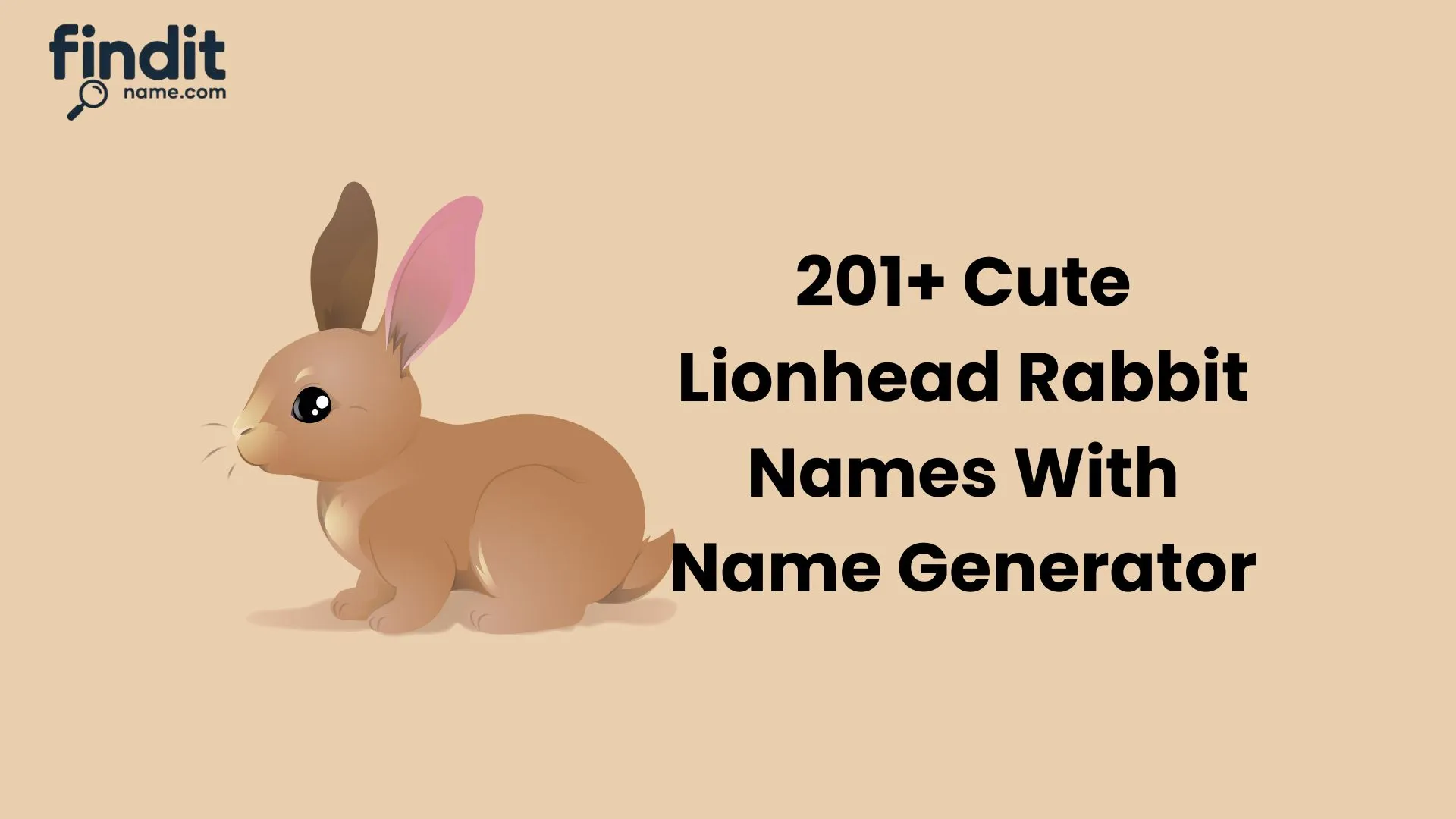Lionhead Rabbit Names