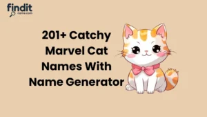 Marvel Cat Names