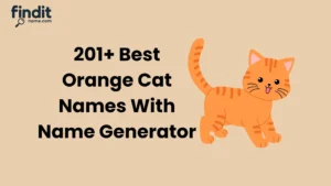 Best Orange Cat Names