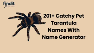 Pet Tarantula Names