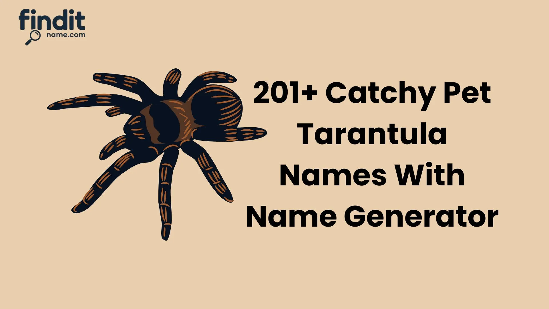 Pet Tarantula Names