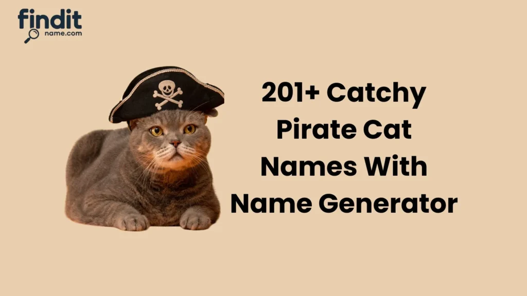 Pirate Cat Names