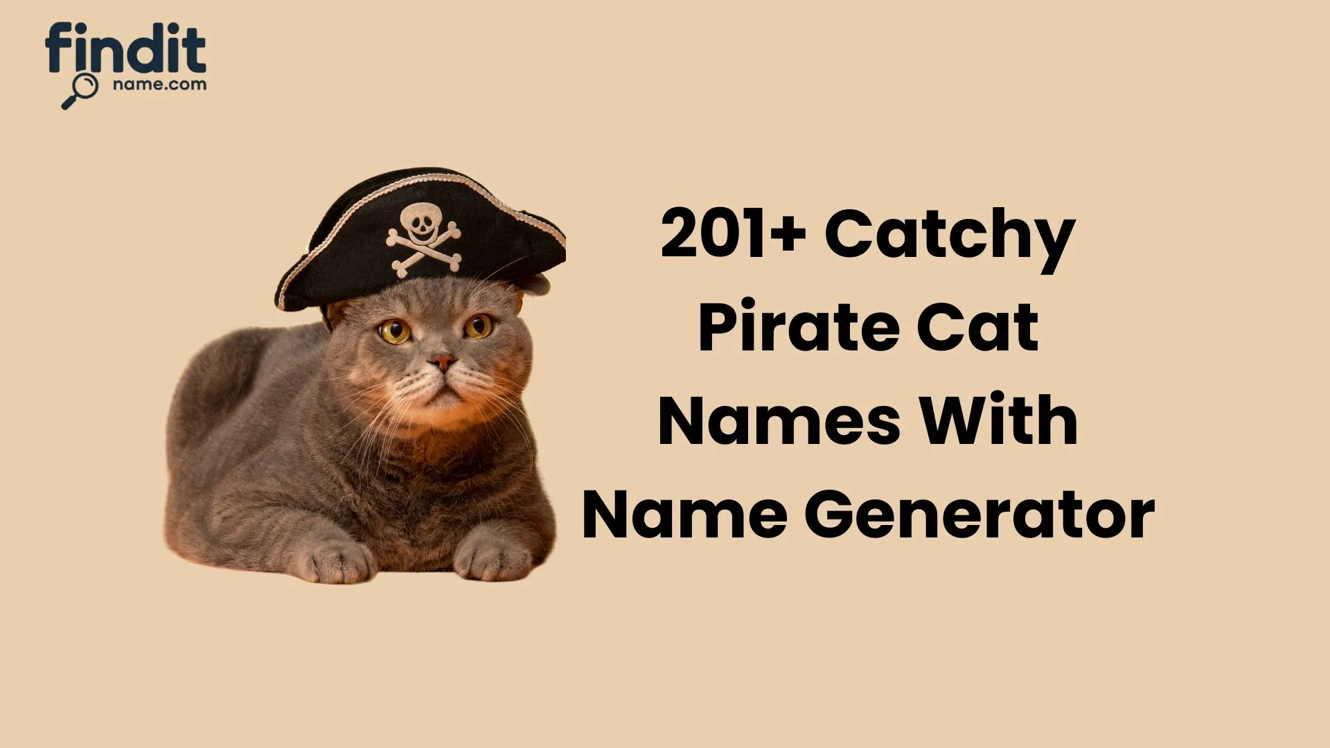 Pirate Cat Names