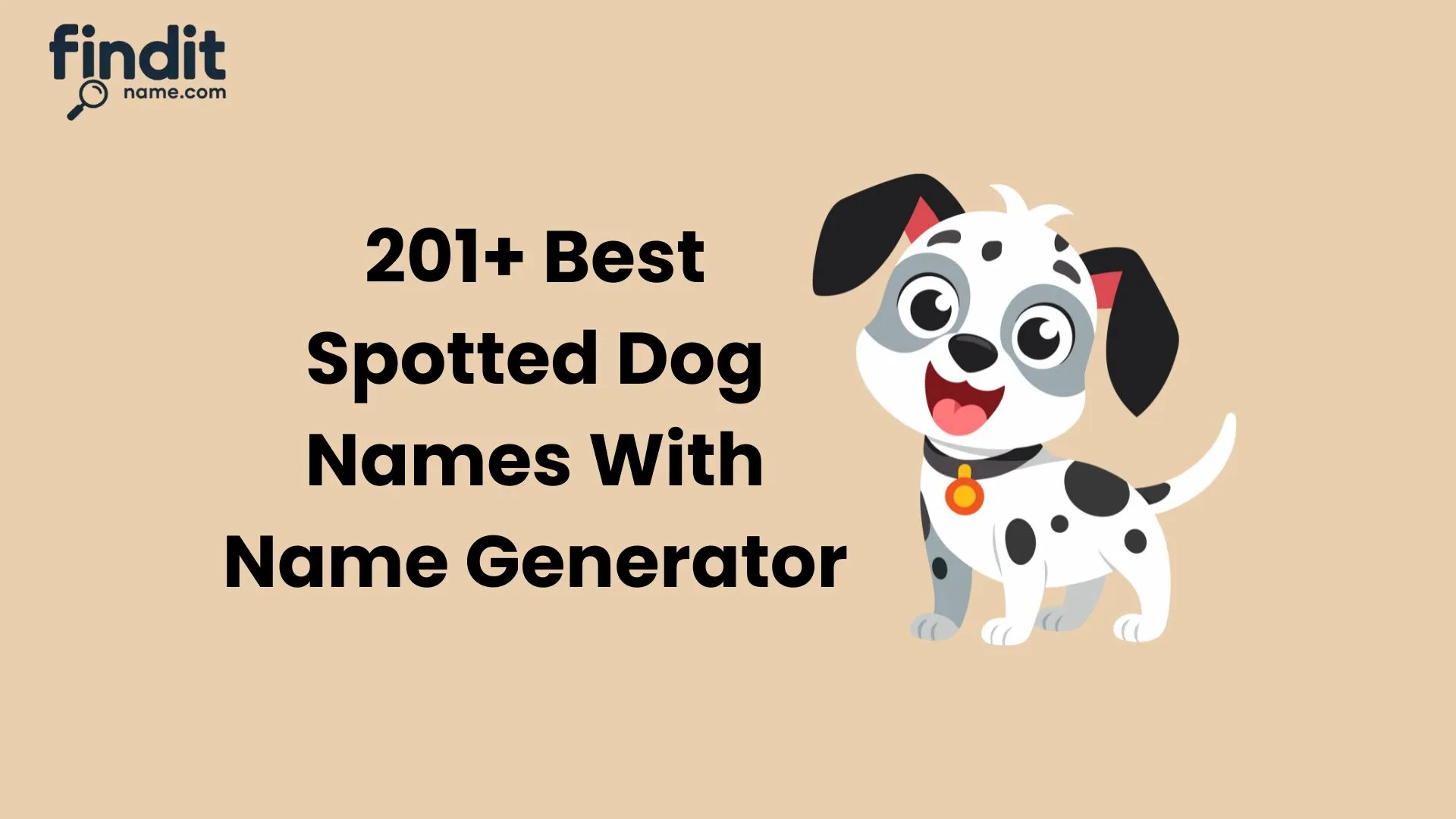 Best Spotted Dog Names