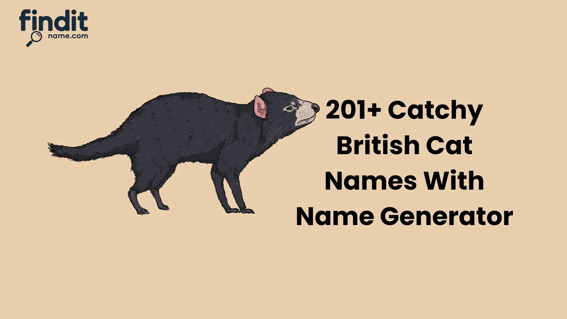 Tasmanian Devil Names