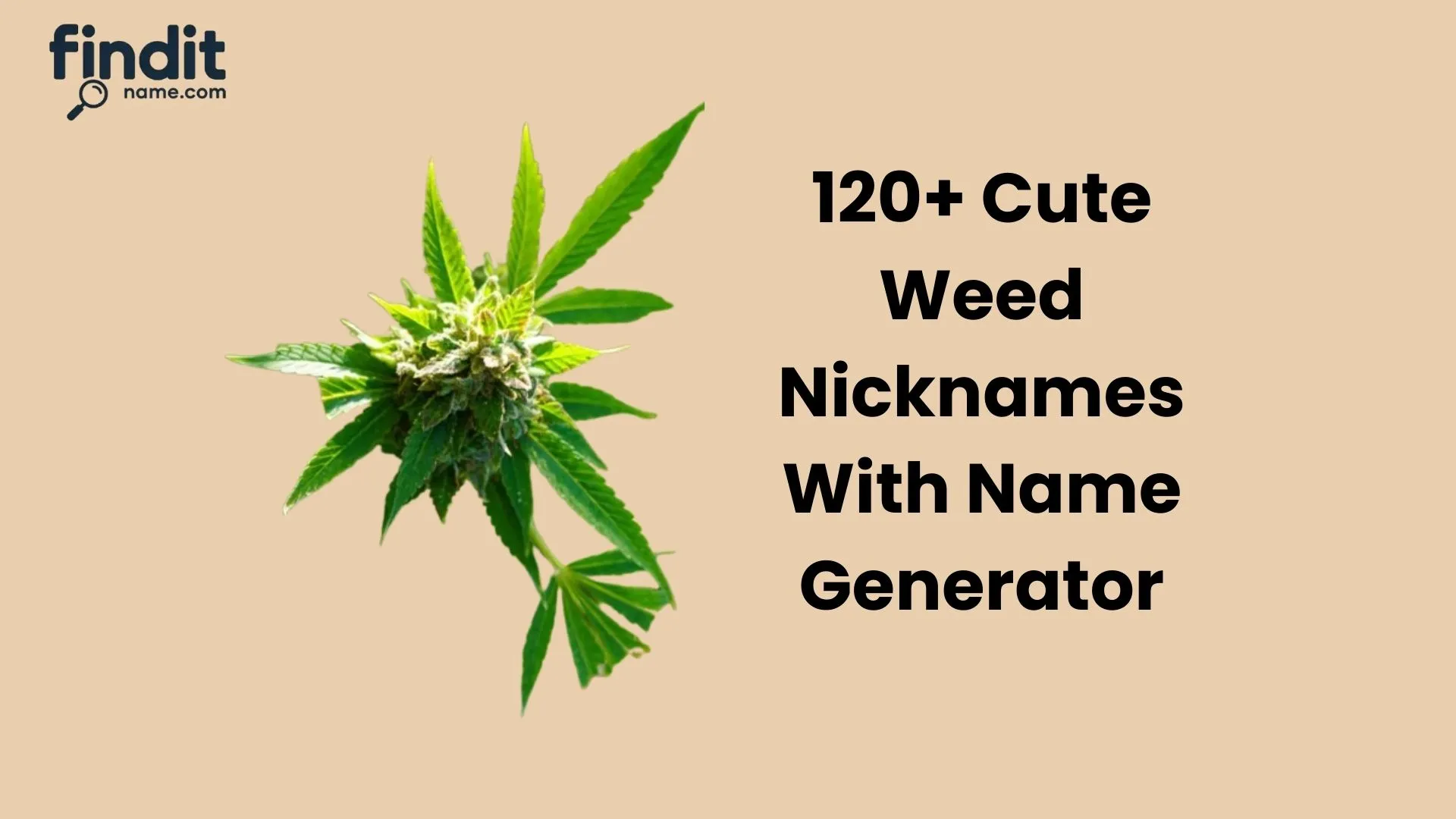 Weed Nicknames