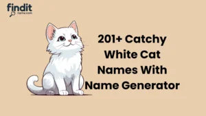 Catchy And Best White Cat Names With Name Generator