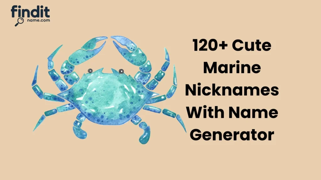 Marine Nicknames