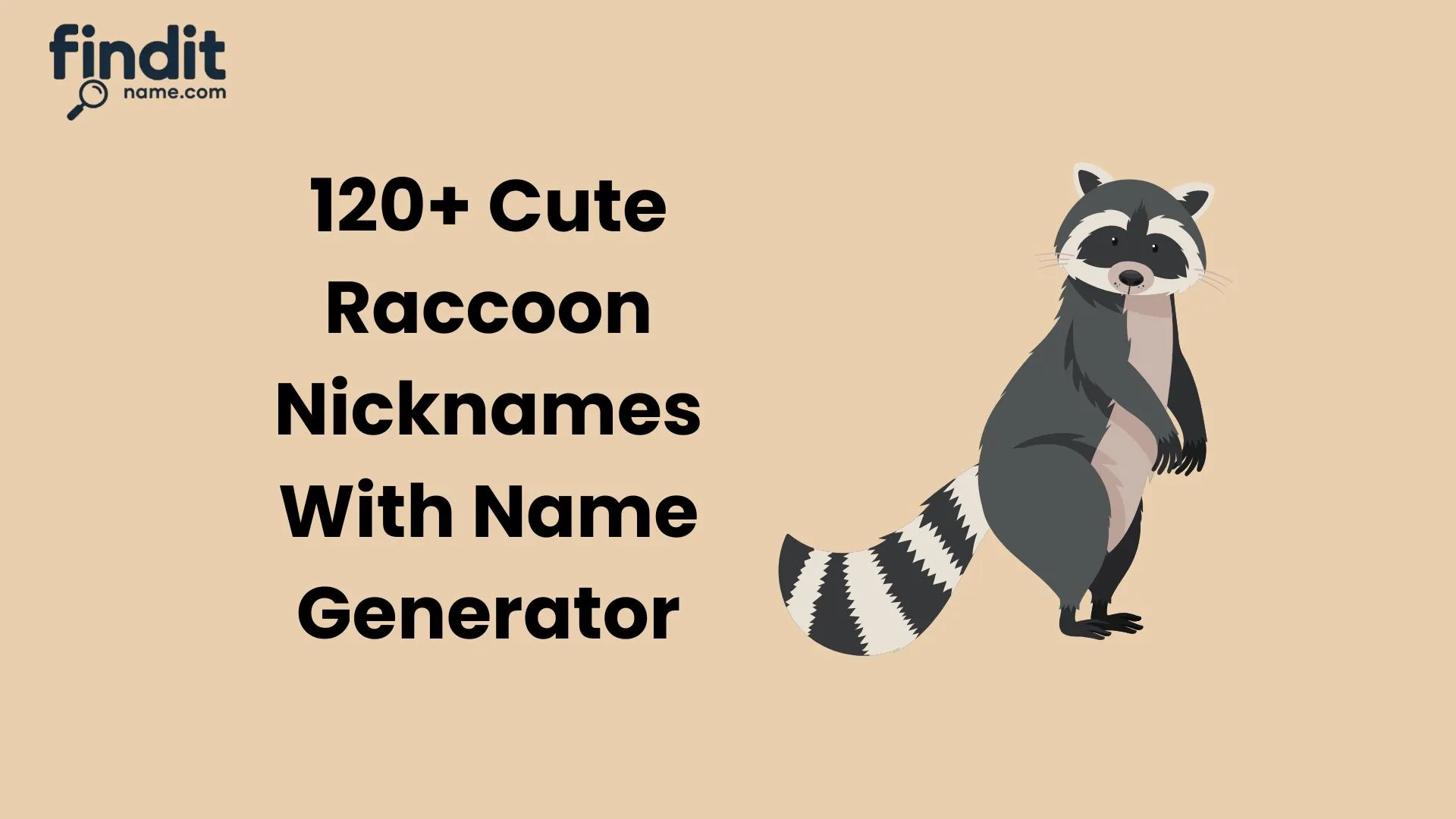 Cool And Catchy Raccoon Nicknames With Name Generator